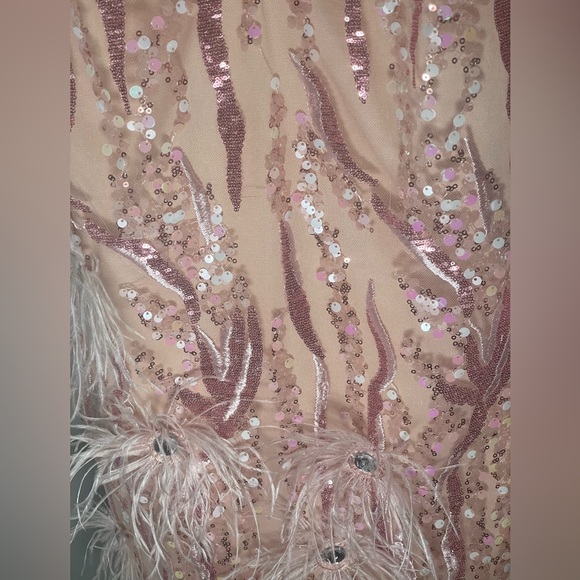 Pink Mini Dress, Feathers and Sequins - Picture 6 of 6